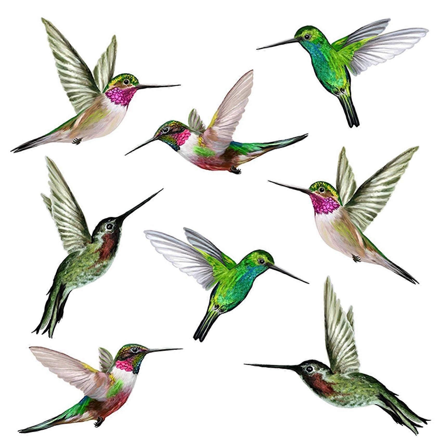 8 Beautiful Humming Bird Static Stickers Hummingbird Anti Collision Bird Stickers