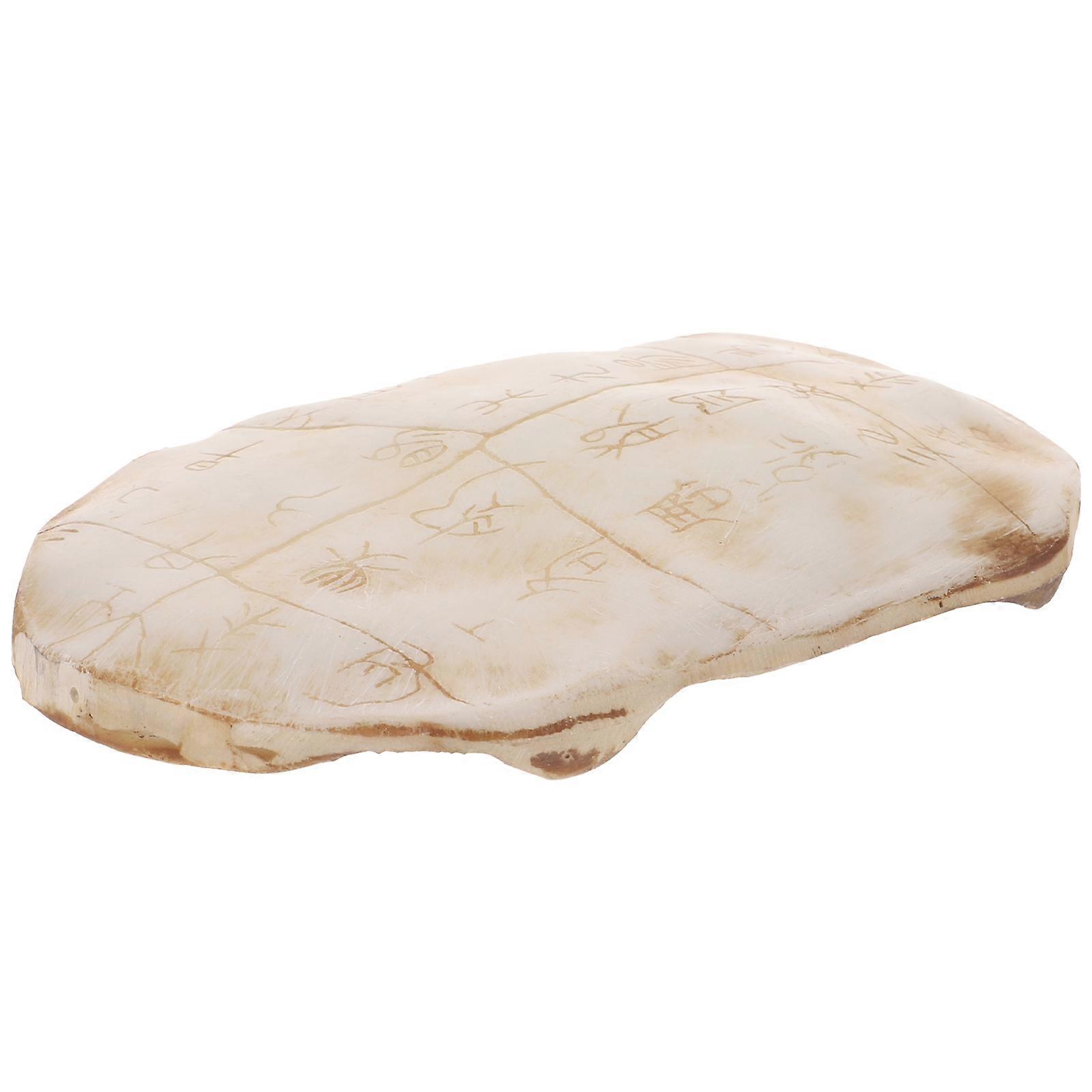 Chinese Shell Ornament Vintage Style 5Pcs Decorative Item For Home And Office Spaces