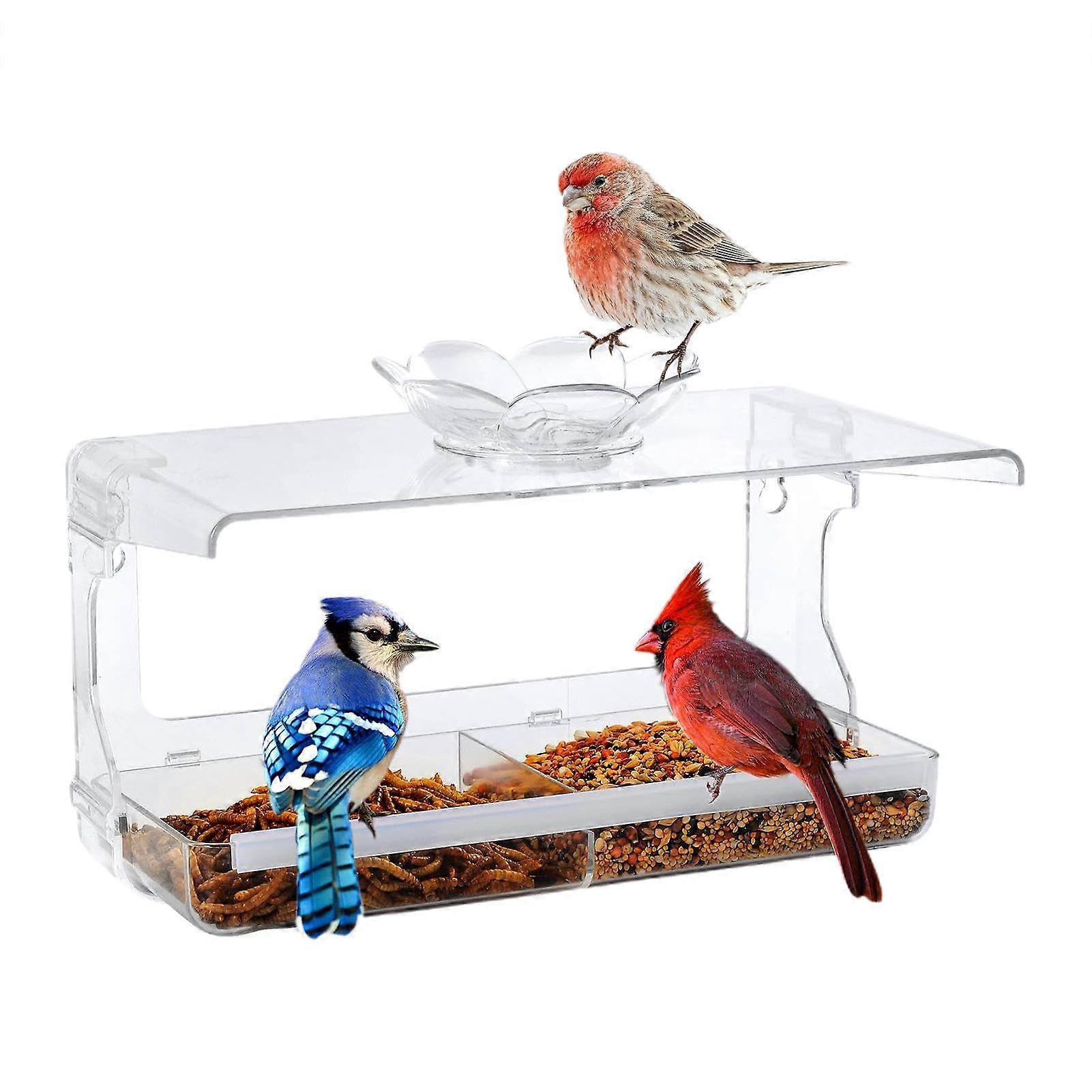 Window Bird Feeder Clear Acrylic Weatherproof Large Capacity with Suction Cups Squirrel Resistant