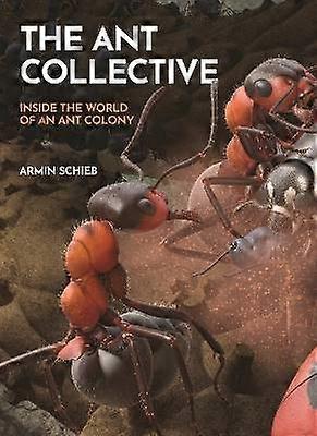 The Ant Collective