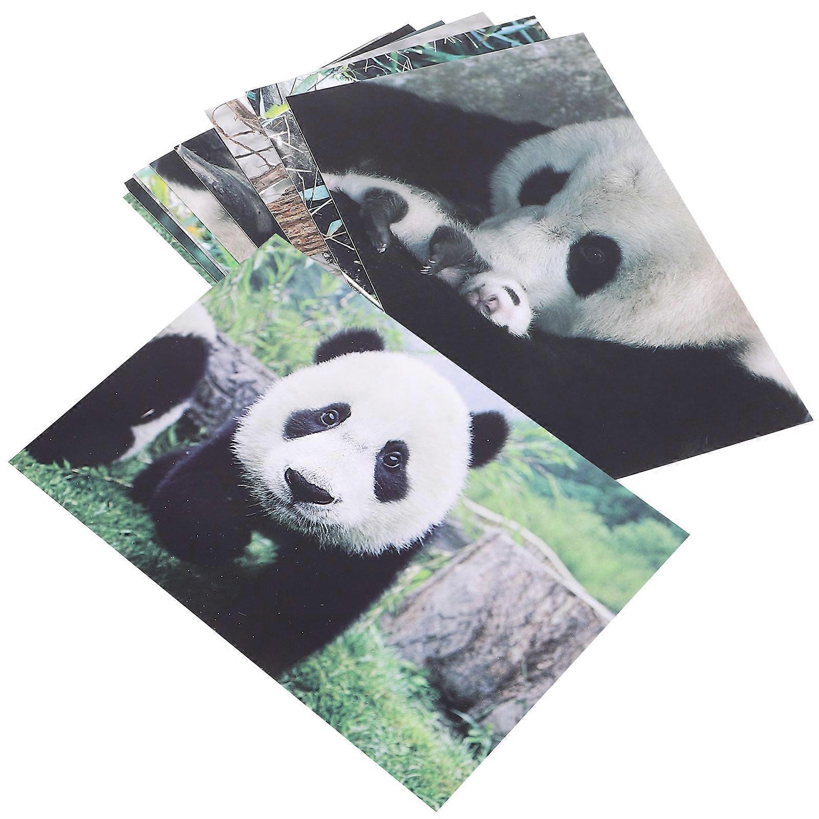 Panda Adorable Pandas Postcards for 10Pcs Assorted