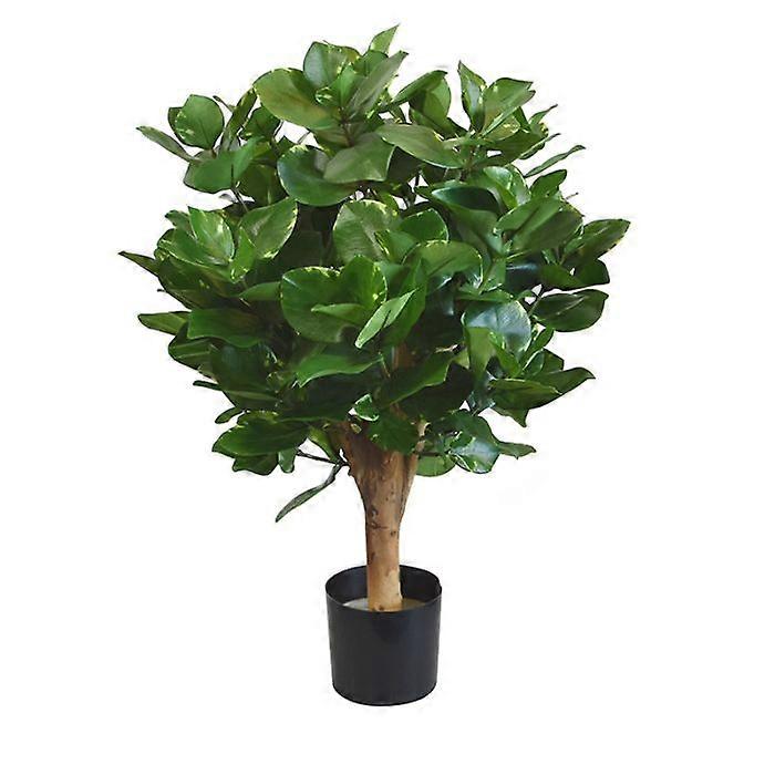 Clusia ball (55 cm)
