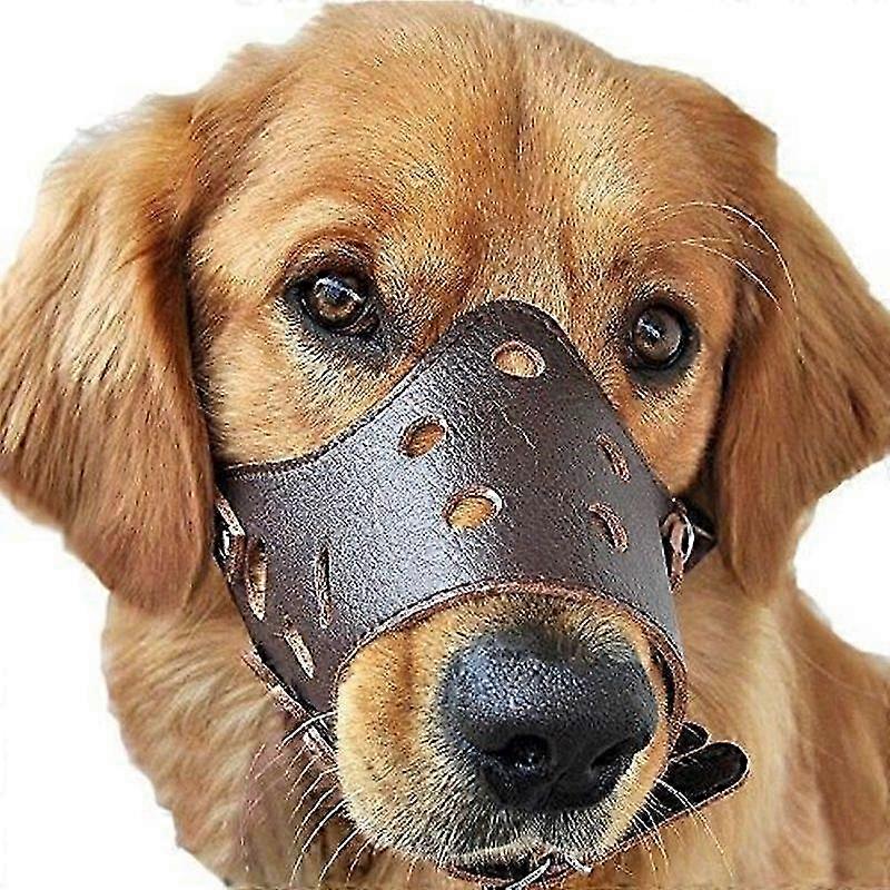 Leather Dog Muzzle Large Size