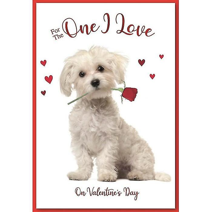 Simon Elvin One I Love Puppy Valentine Greetings Card (Pack of 6)