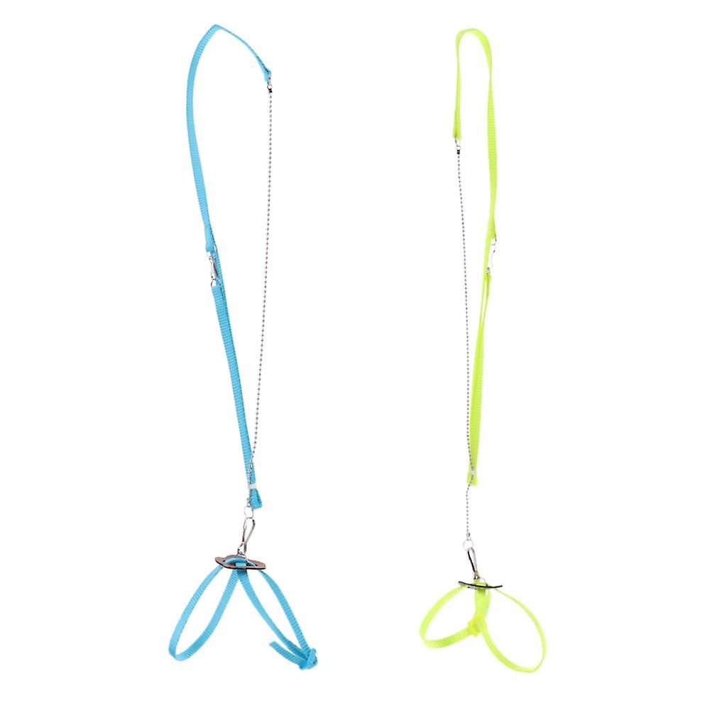 Reptile Bird Harness Leash