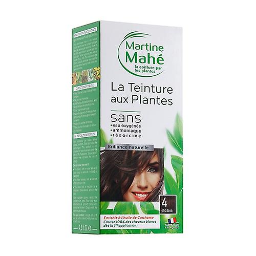 Chestnut Plants Tincture 125 ml (Brown)