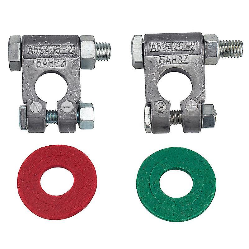 1pair Positive And Negative Anodes