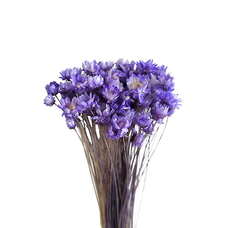 30pcs Daisy Dried Flower