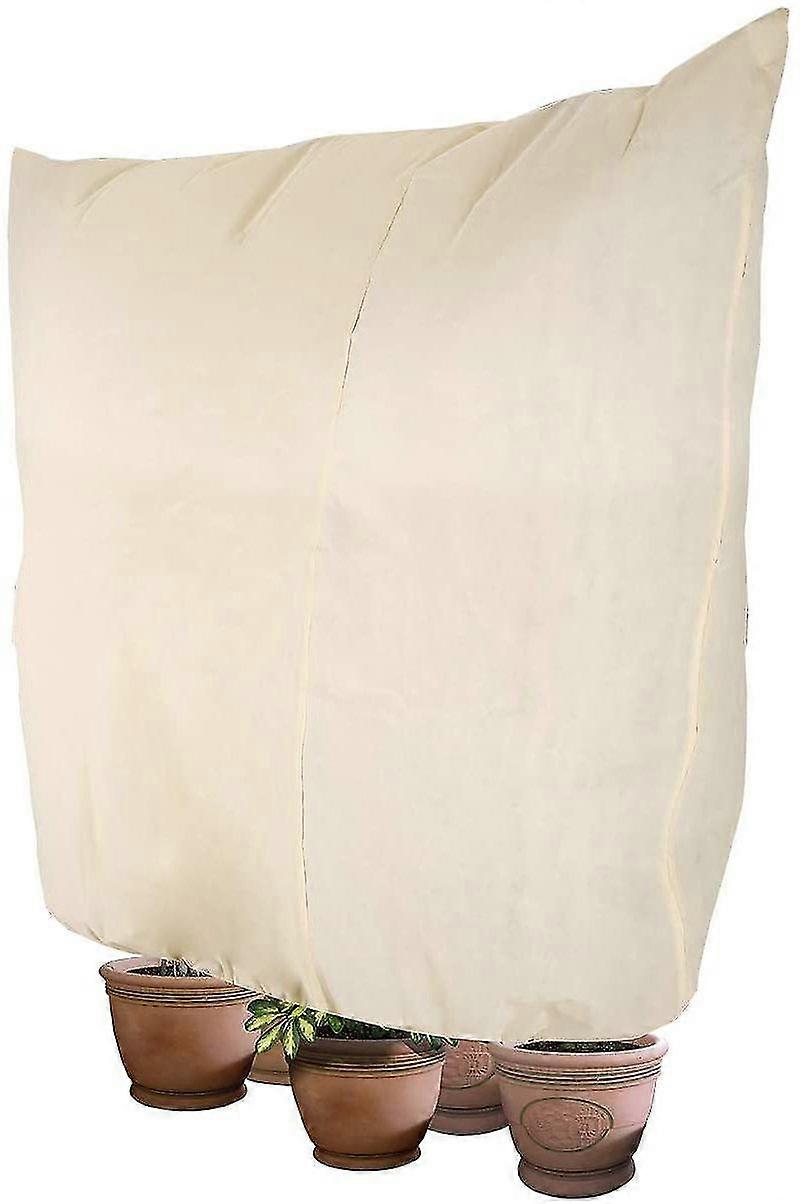 الشتاء حماية كيس النبات بوعاء