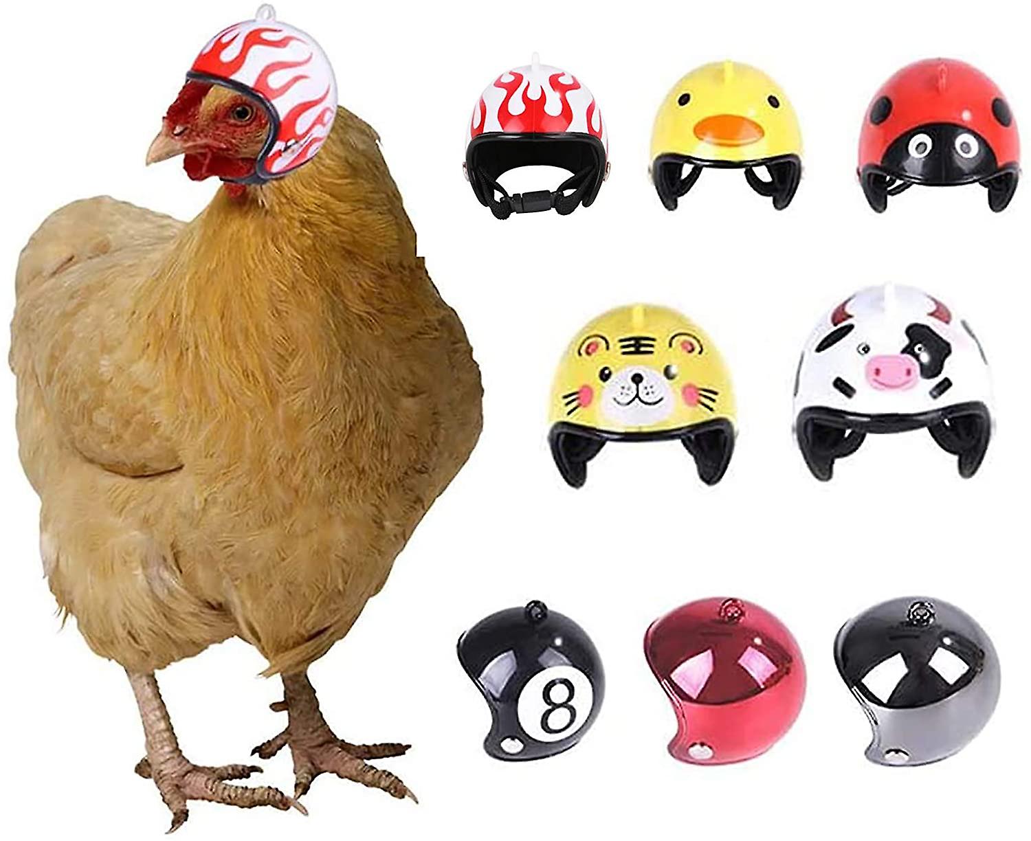 Casco per animali domestici Casco di pollo Protegge la testa di gallina in  modo sicuro e resistente (8 pezzi) | Fruugo CH