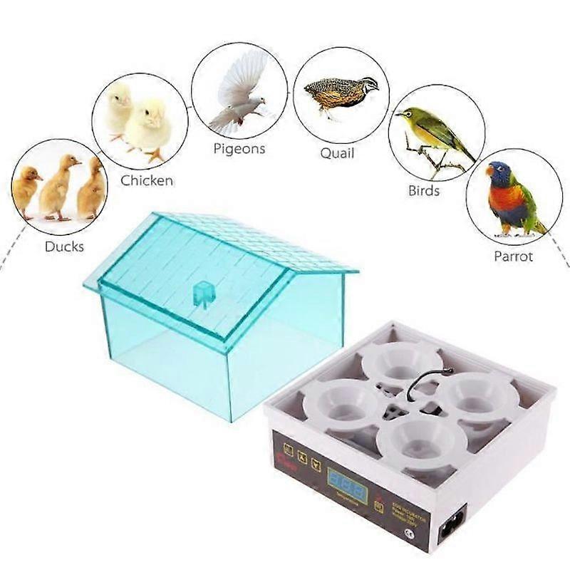 Mini Automatic Incubator for Chicken Duck FicheHatcher Brooder 4 Eggs