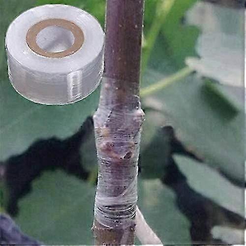 3cm white grafting tape, 2 rolls of stretch clear floral film for grafting various fruit tree plants and enhancing growth.