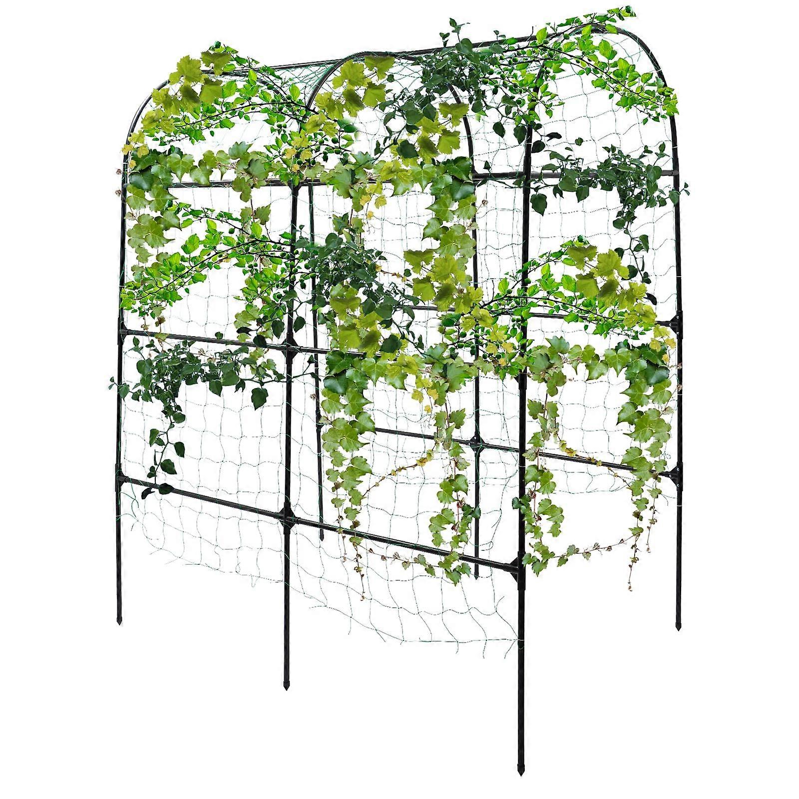 ガーデンアーチトレリス、トレリスキュウリガーデントレリスローズエイド立体視ガーデンアーチトレリスアーチ野菜、果物、花
