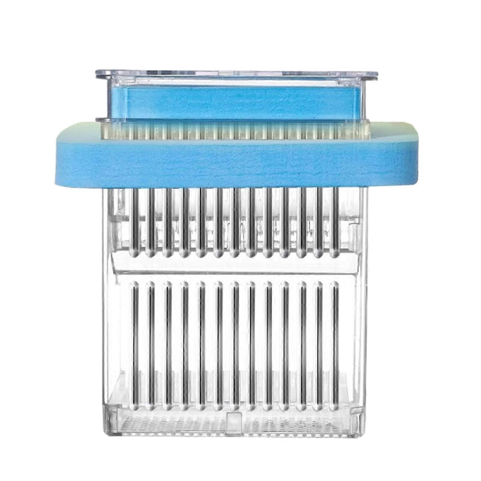 Floating Guppy Breeder Box Clear Frame Fish Tank Divider Aquatic Life Hatching Acclimation Case Shrimp Nursery Blue