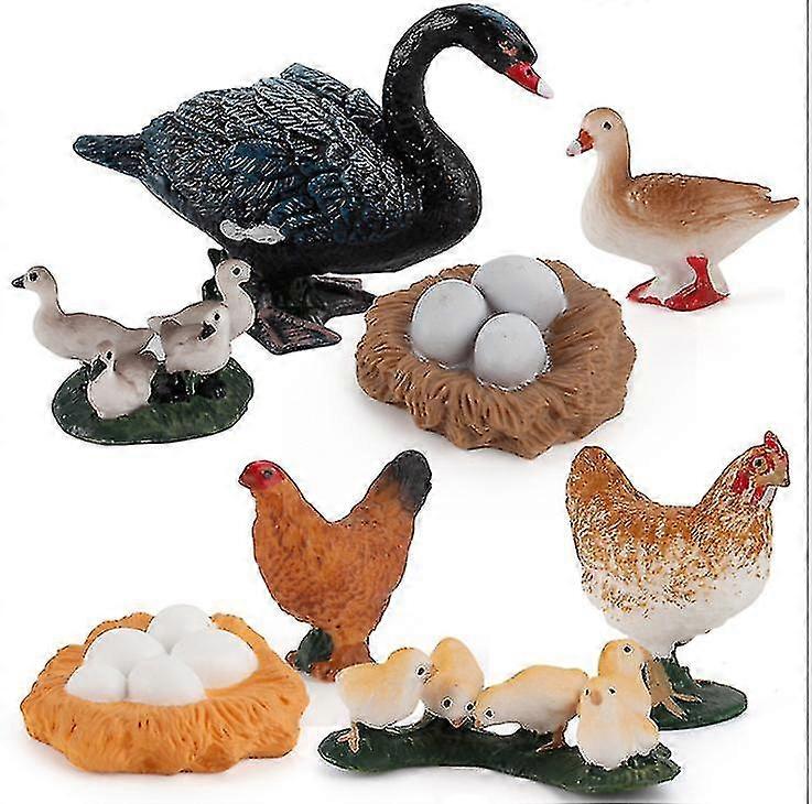 4Pcs Chicken, Duck And Goose Growth Cycle Scientific Exploration Se...