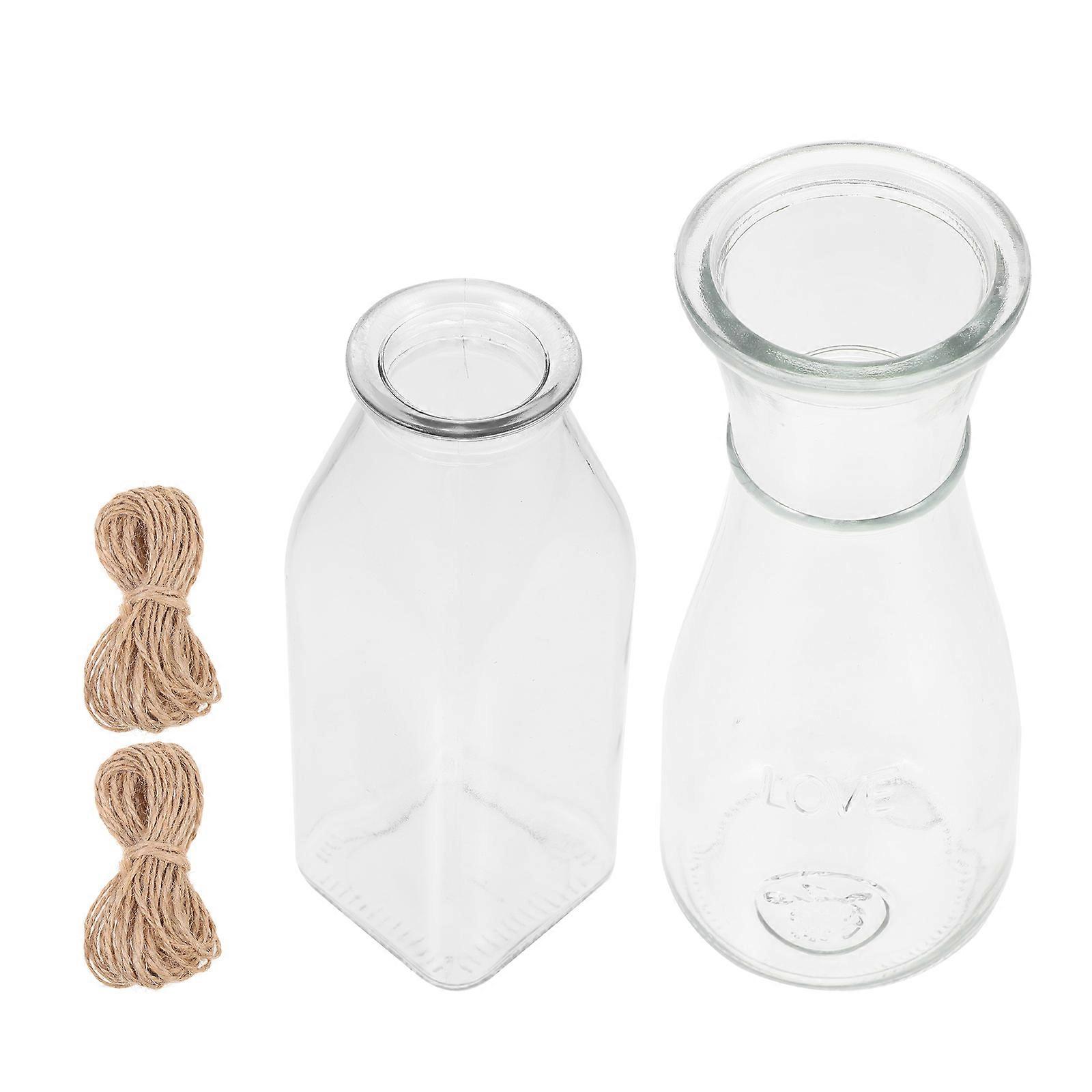 Transparent Hydroponic Plant Glass Bottle for Home 2Sets