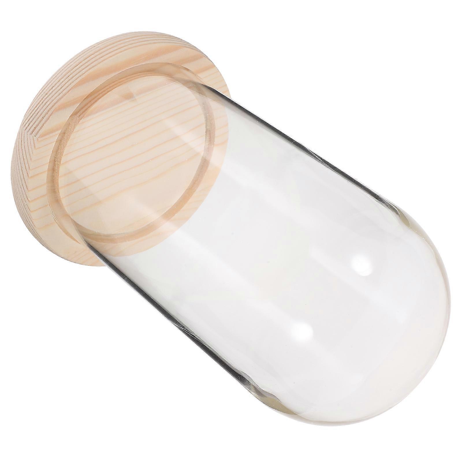 Clear Glass Dome for Display with Preserved Flower Covering 3Pcs Set