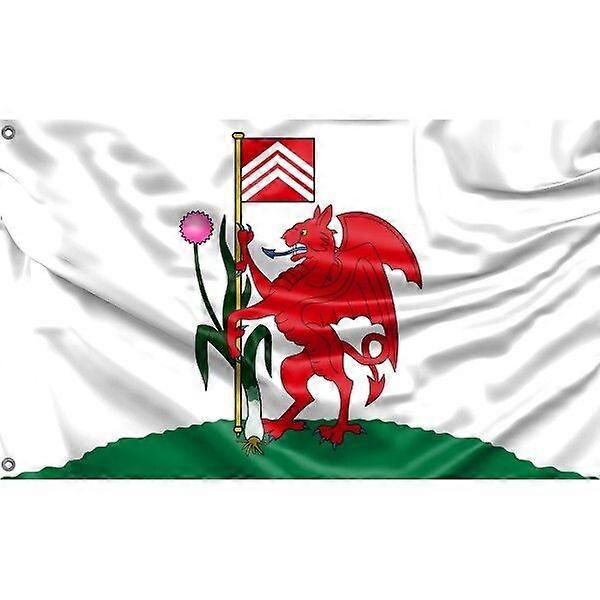 Bandeira de Cardiff