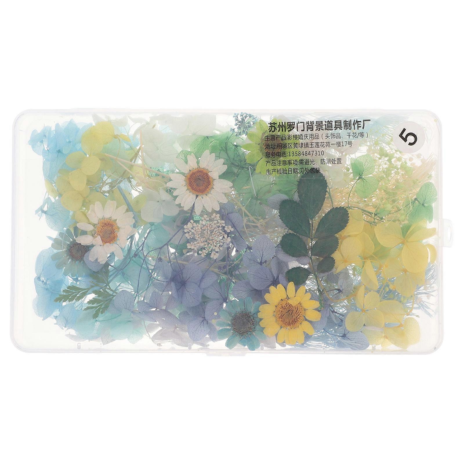 Dried Pressed Flowers for DIY Art Boxes Flowers