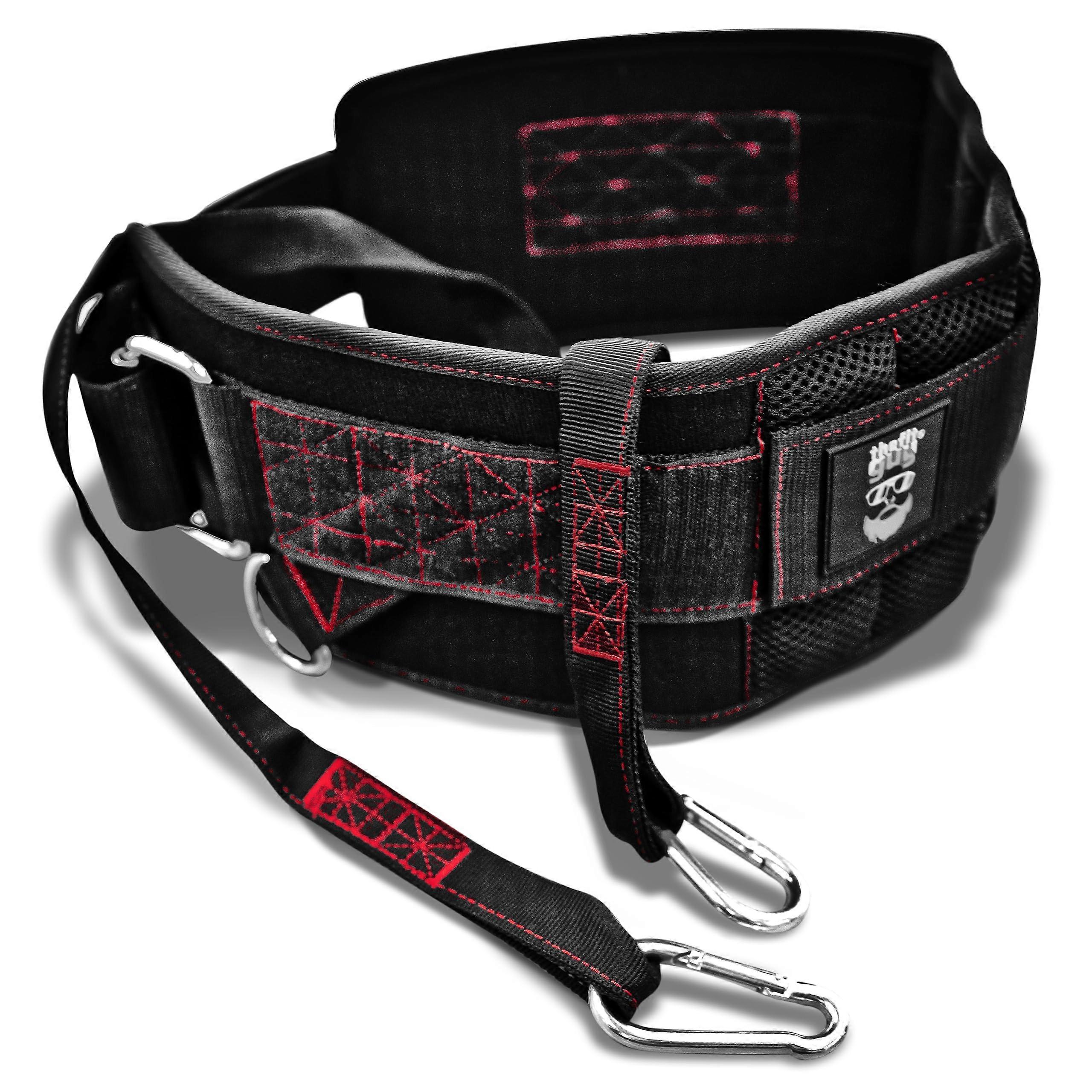 Weight Lifting Dip Belt with Back Support, Secure Buckle, 45° Rings, Adjustable Strap, Dual Hooks
