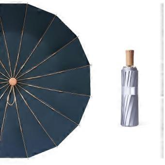 16 Rib Windproof Folding Umbrella for Women, Compact Travel Parasol for Rain or Shine (B)