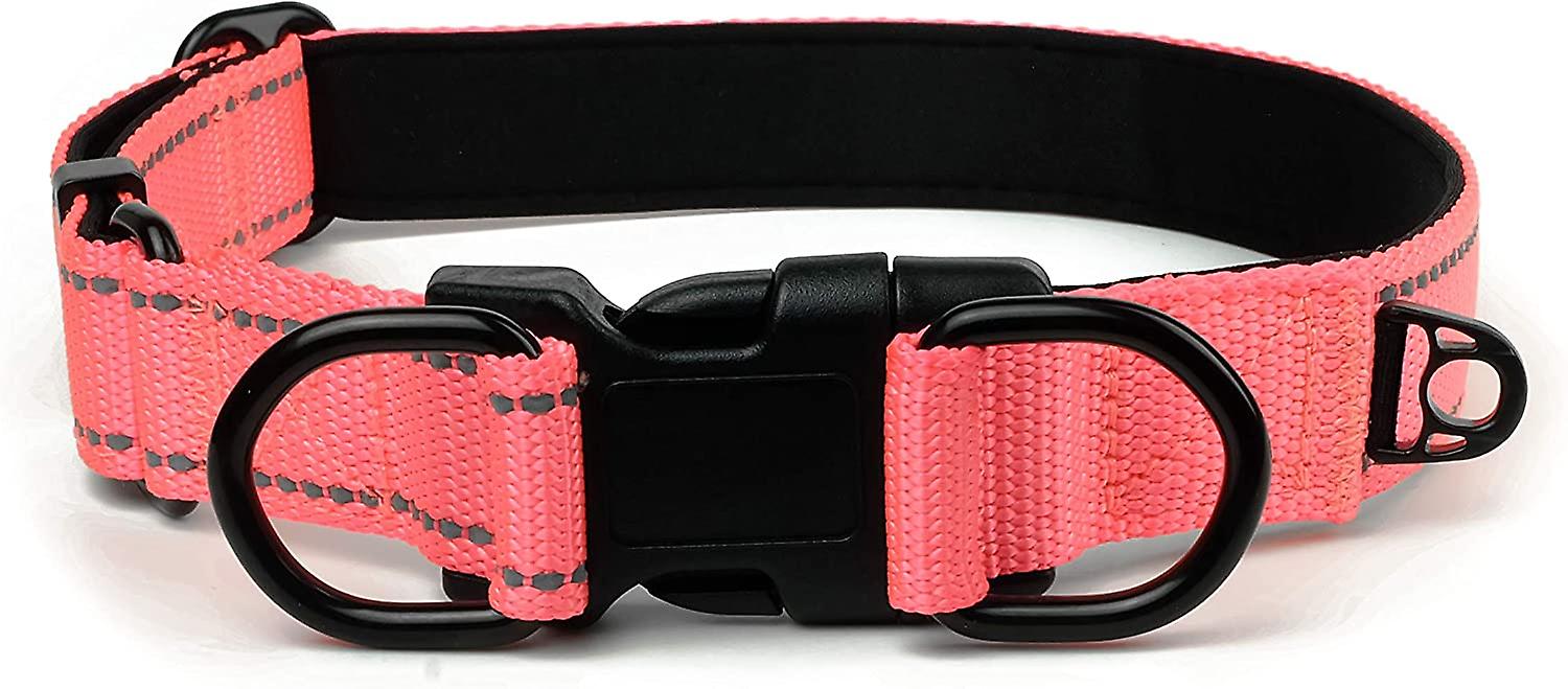 Nylon Dog Collarcomfortable Soft Lining Padded And Metal Buckle