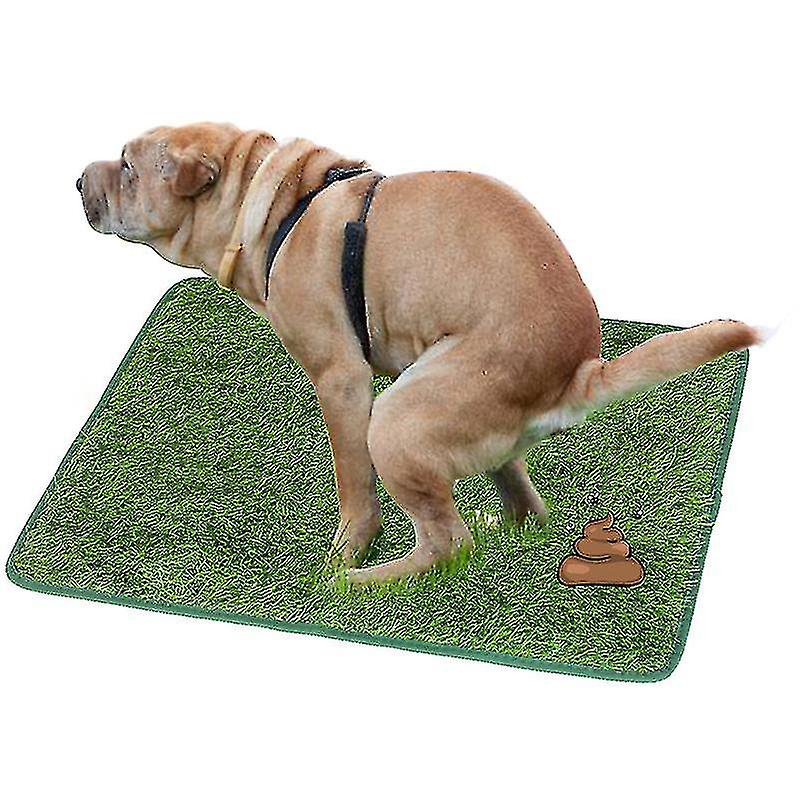 Coussinets de pipi pour chiens et chiots avec conception étanche à séchage rapide pour l’apprentissage de la propreté, absorbant fortement