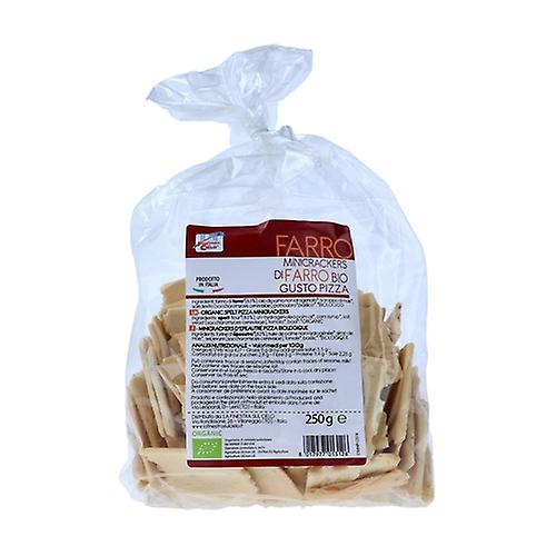 Mini Crackers Pizza Flavour 250 g
