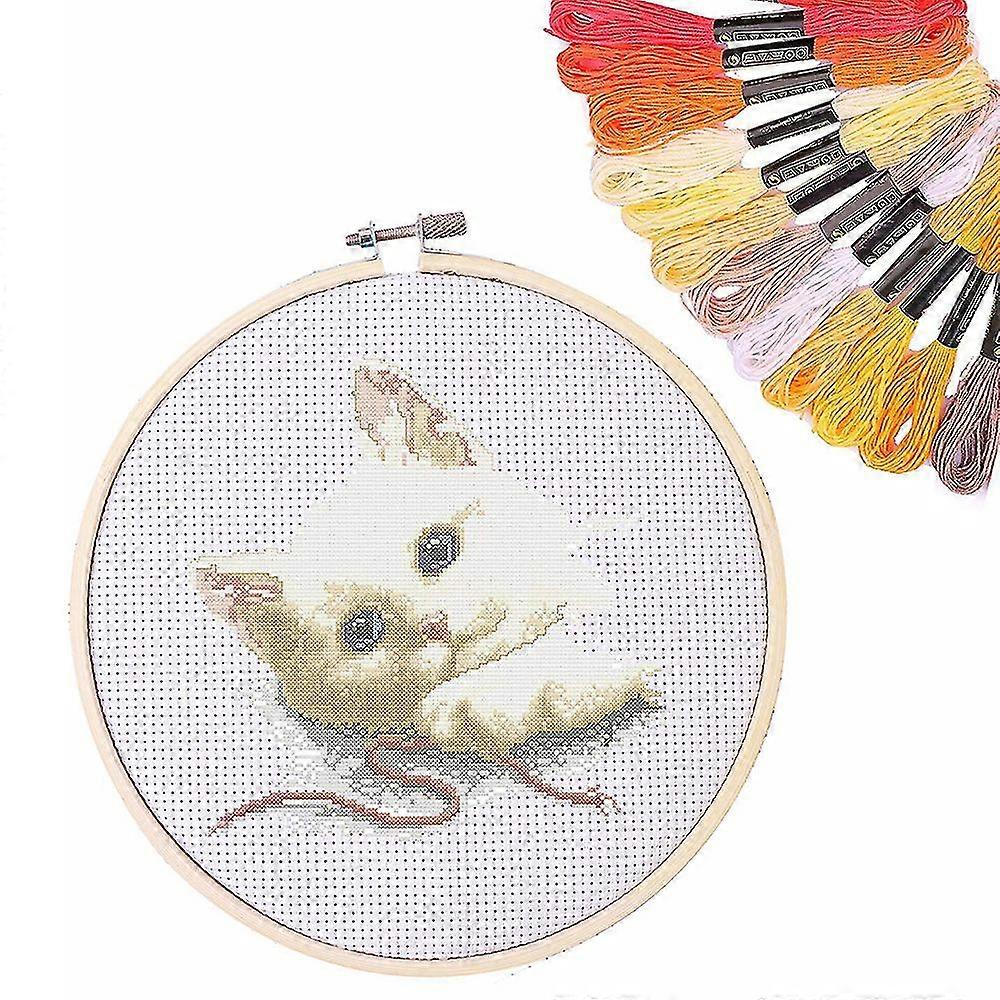 154 Pieces Embroidery Kit With Instructions