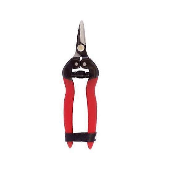 Trimming Scissors for Pruning Plants, Stainless Steel, 6-Inch, Ergonomic Handle, Gardening Tools for Indoor and Outdoor Use
