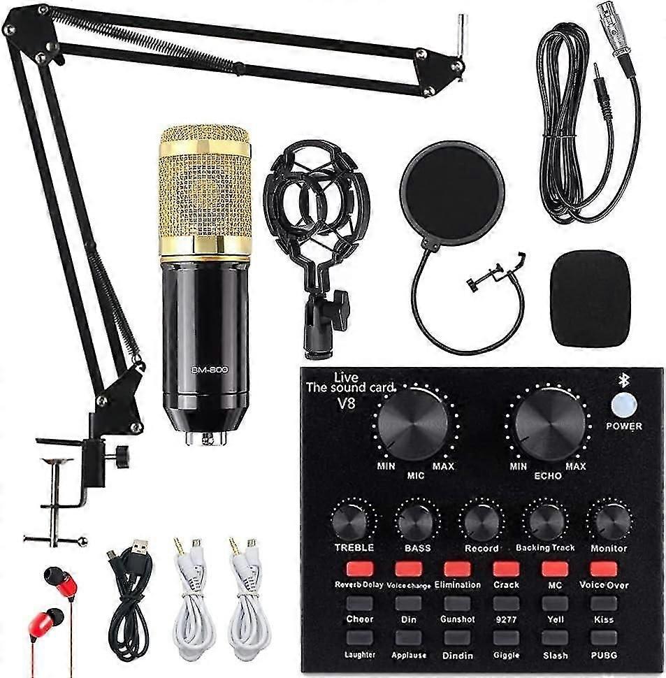 BM-800 Microphone Kit with Live Sound Card