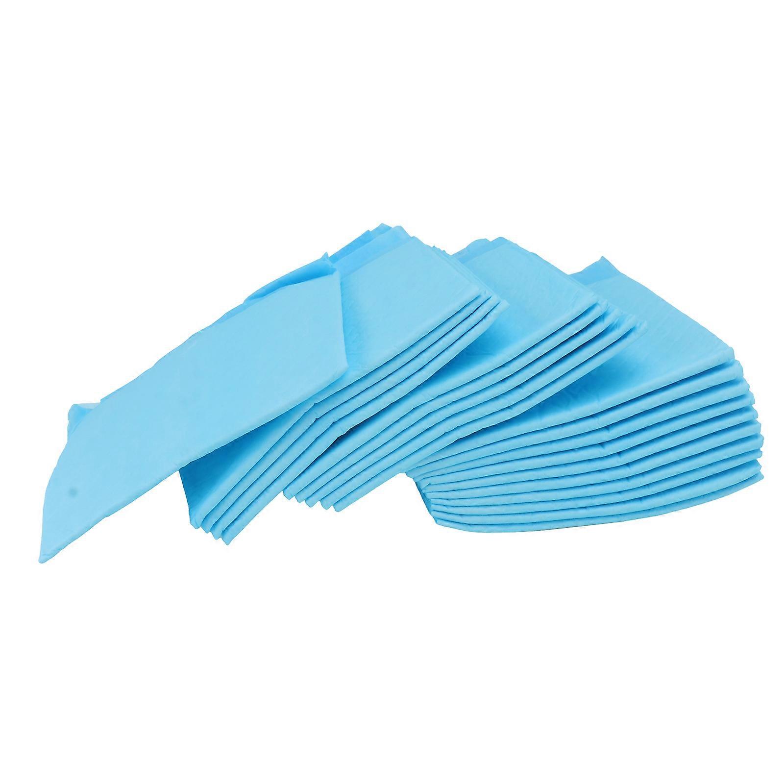 Pet Supplies Diapers Pee Pads for Training 60Pcs Pads
