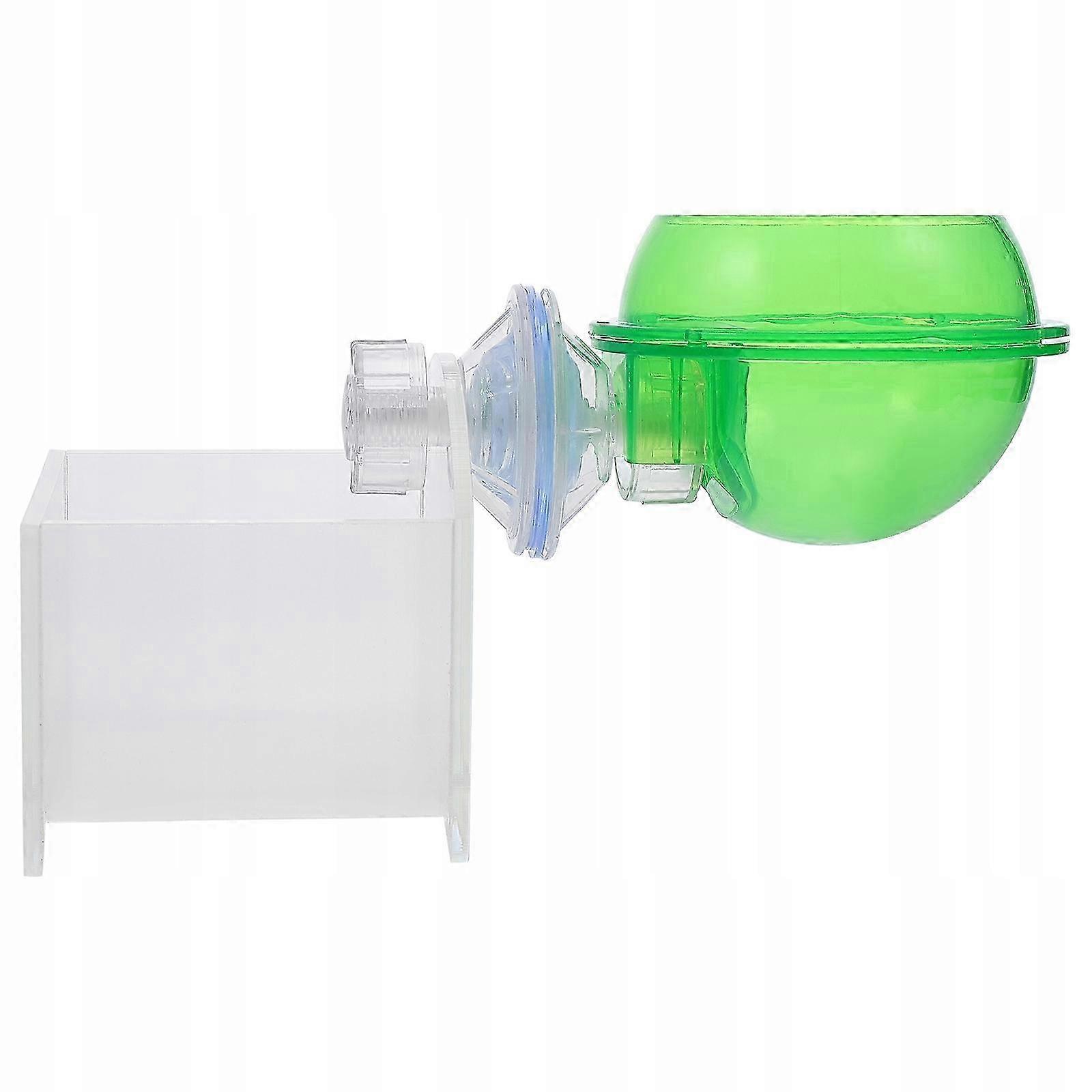 Lizard Water Reptiles Perch And Feed To 2 Pcs