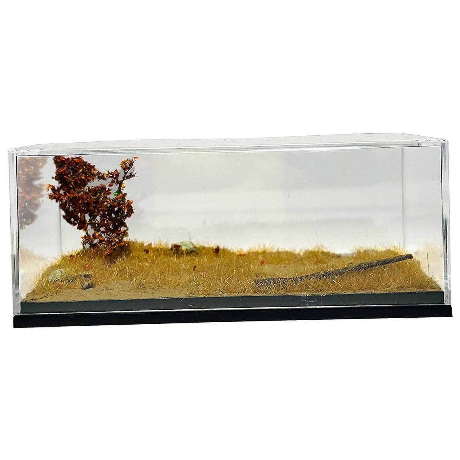 Model Car Display Case 1:64 Dustproof Miniature Scenery Ornament Storage Box
