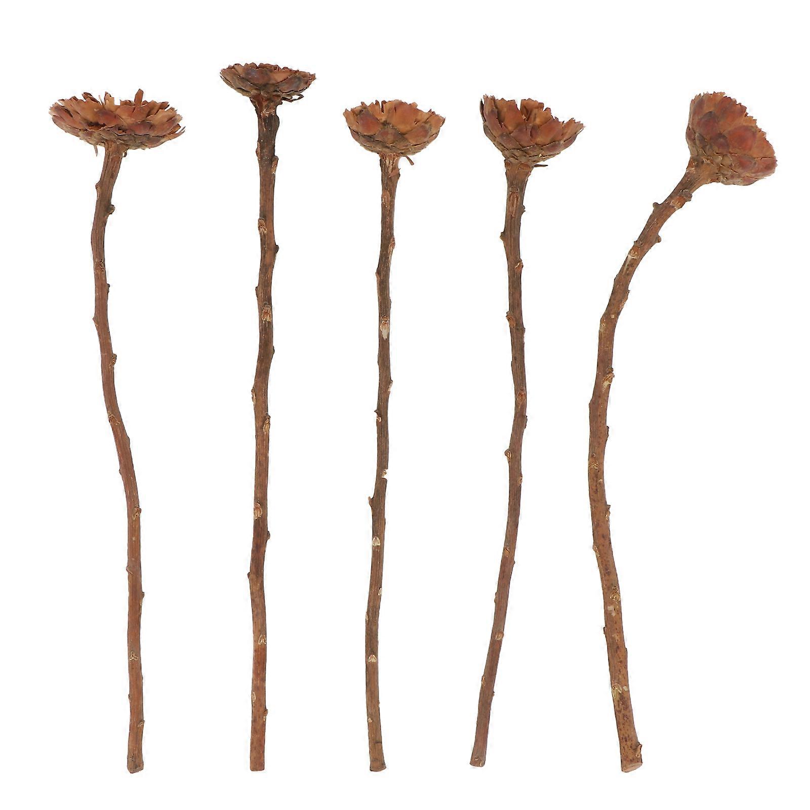 Imported Dry Flower Bouquet Flower Arrangement 5Pcs Bundle