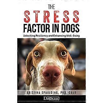 De stressfactor bij honden: veerkracht ontsluiten en het welzijn verbeteren