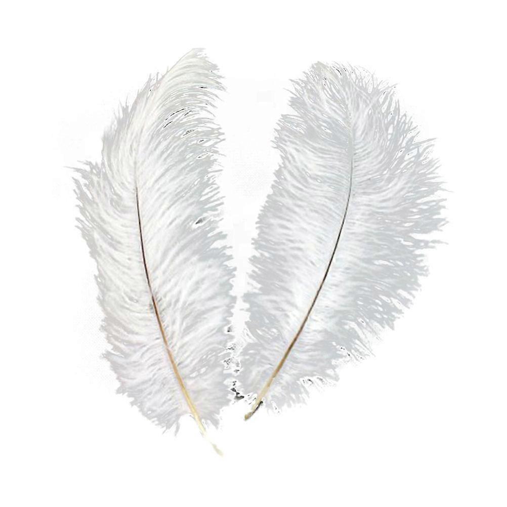 Artificial Ostrich for Decoration 5Pcs Set