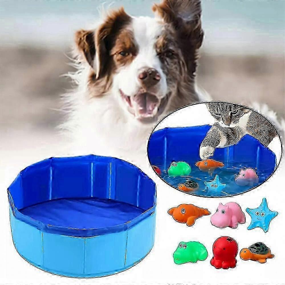 For Bored Indoor Cats Mini Cat Pool with Fish