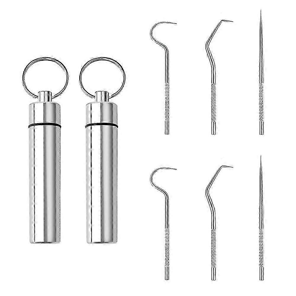 Pocket-Sized Stainless Toothpick Set