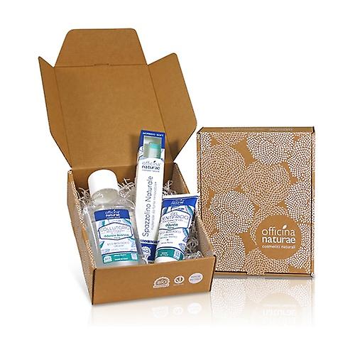 Gift box oral care mint 1 unit (Mint)