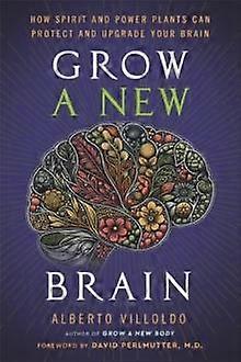 Grow A New Brain by Alberto Villoldo Hardback Book