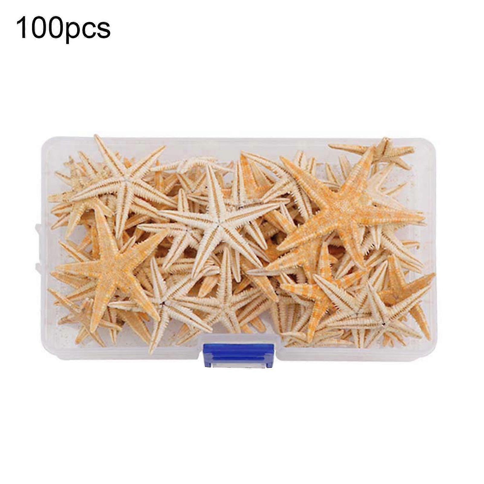 1 Box Starfish Natural Mixed Reusable Realistic White Star Sea Shell For Party
