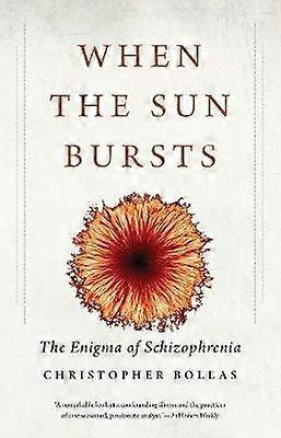 When the Sun Bursts - The Enigma of Schizophrenia