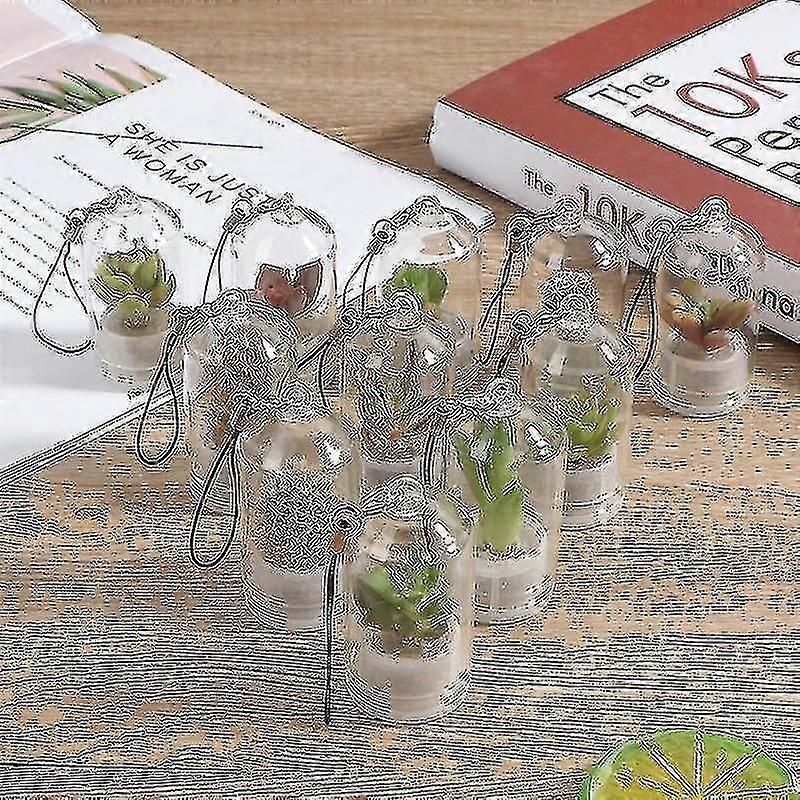 لطيف الصبار مصغرة عصاري الصبار Terrarium قلادة يمكن ارتداؤها نبات حي