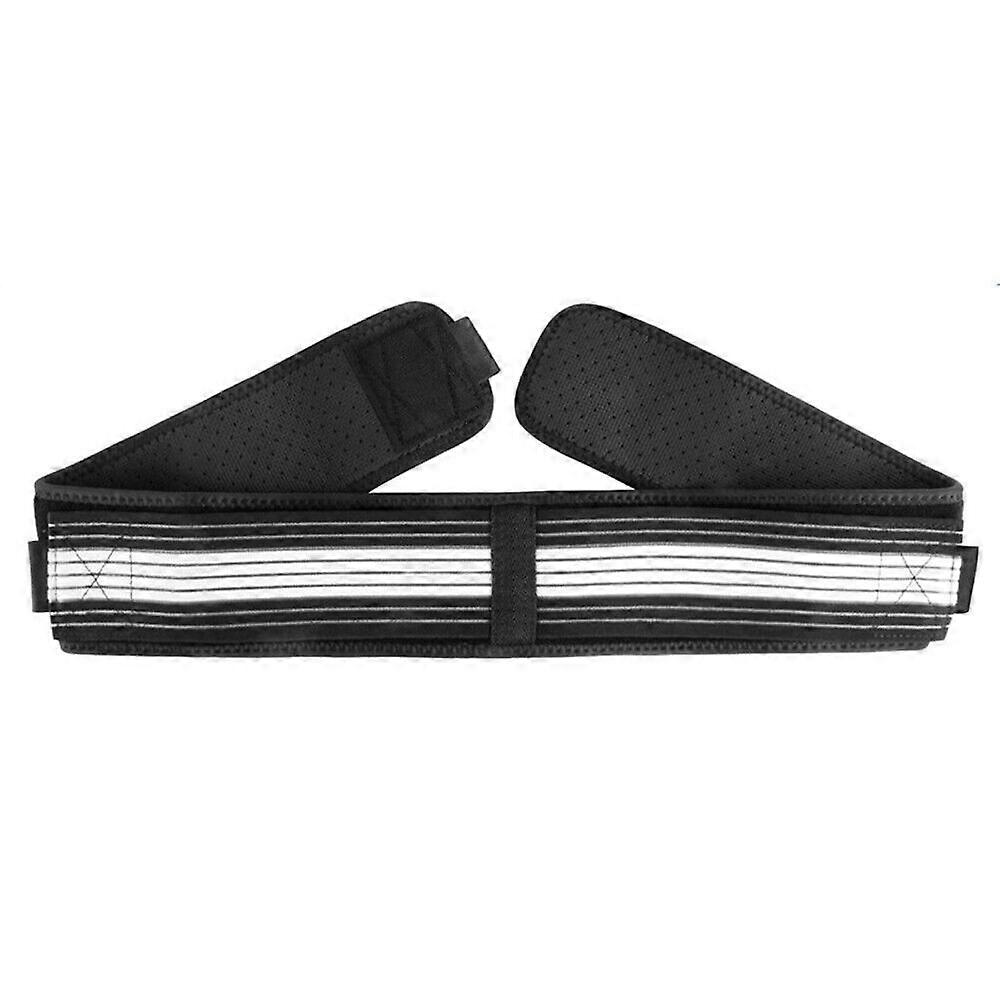 DAINELY BELT 腰椎骨盤サポートベルト 坐骨神経痛 腰椎 痛み止め 背中