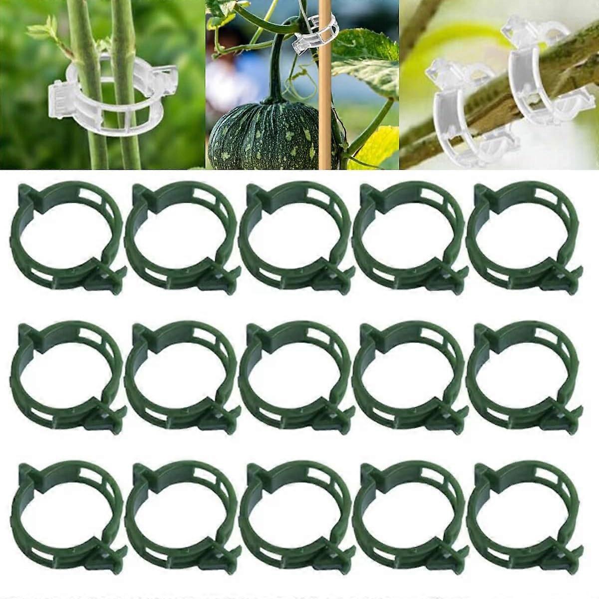 Secured Plastic Plant Clip,Reusable Plant Clips Support for Climbing Plants