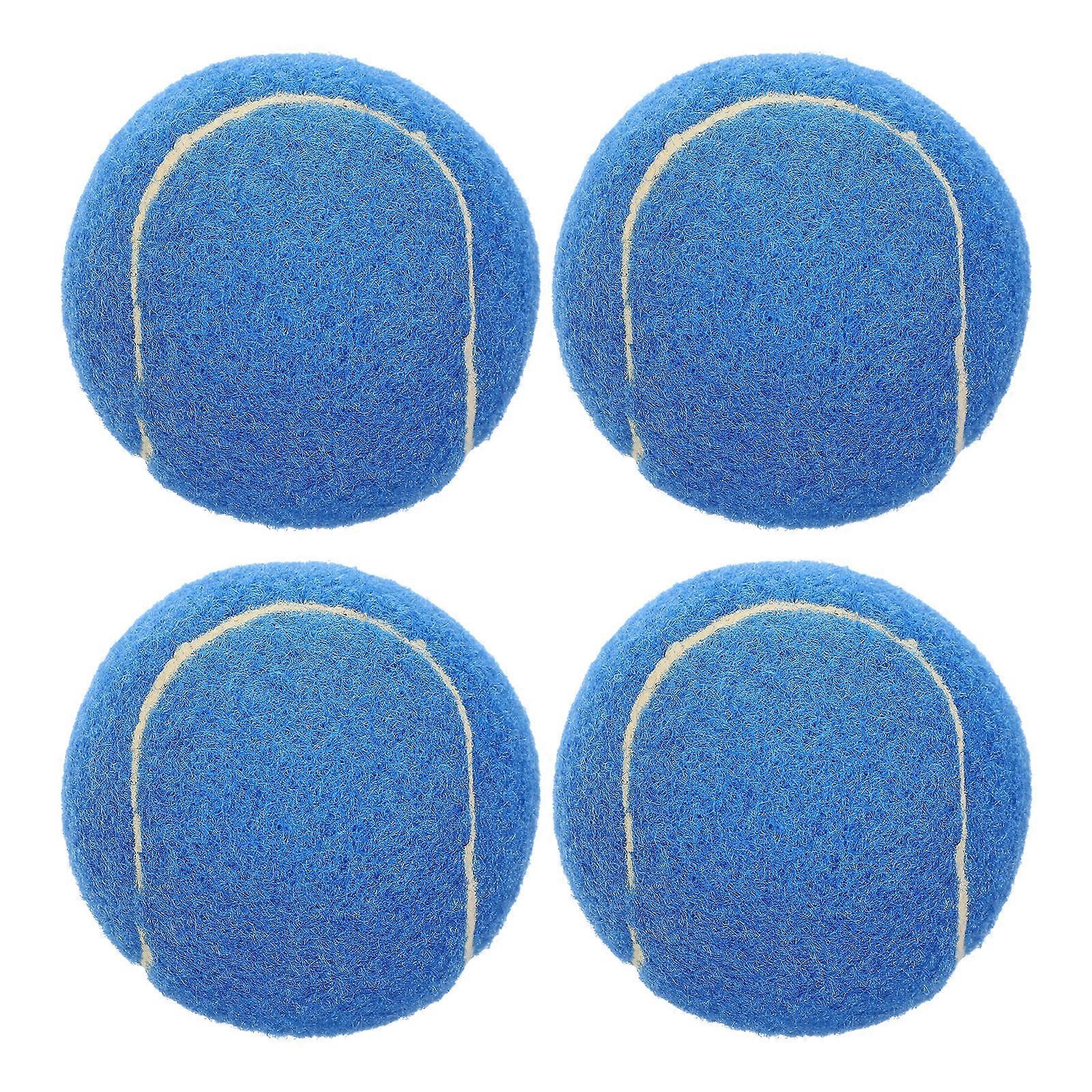 Fun Interactive Balls Keeping Dogs Engaged and Content
