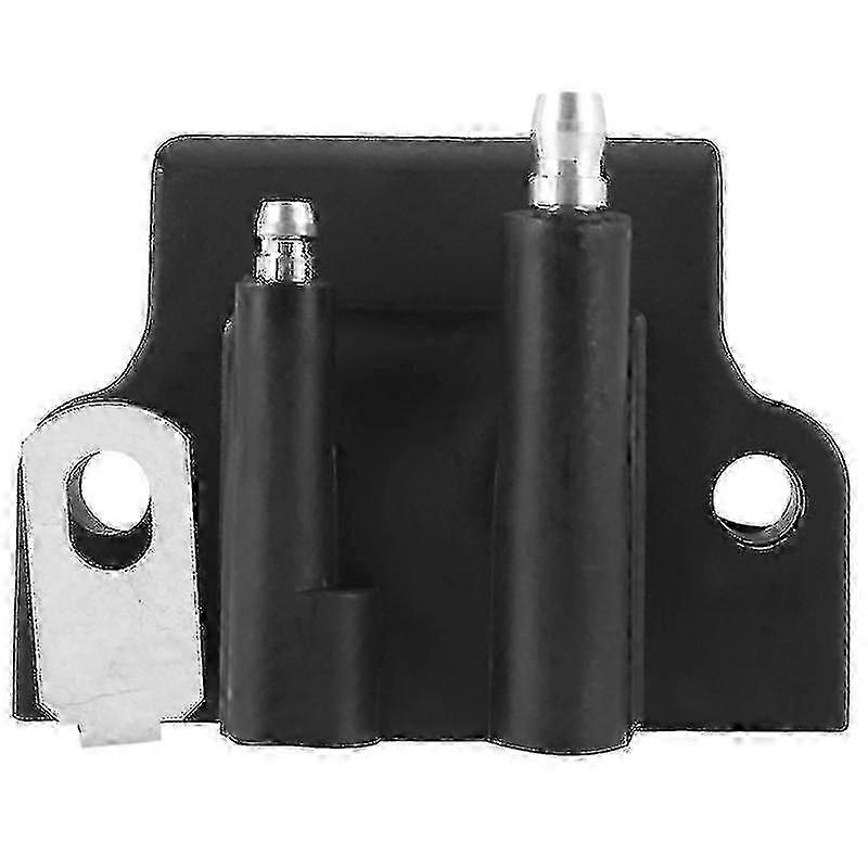 Outboard Engine Ignition Coil Compatible with Evinrude Models 582508 5179 183 and 2508 Edition 0923