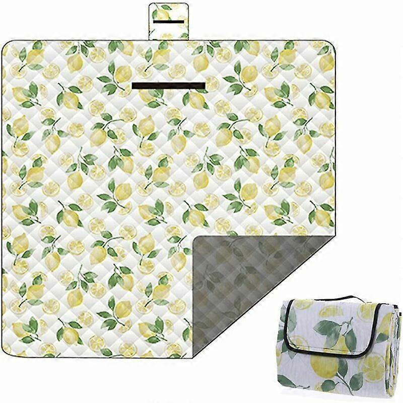 Picnic Blanket 200x200 Waterproof Picnic Mat Foldable Beach Blanket Camping Mat