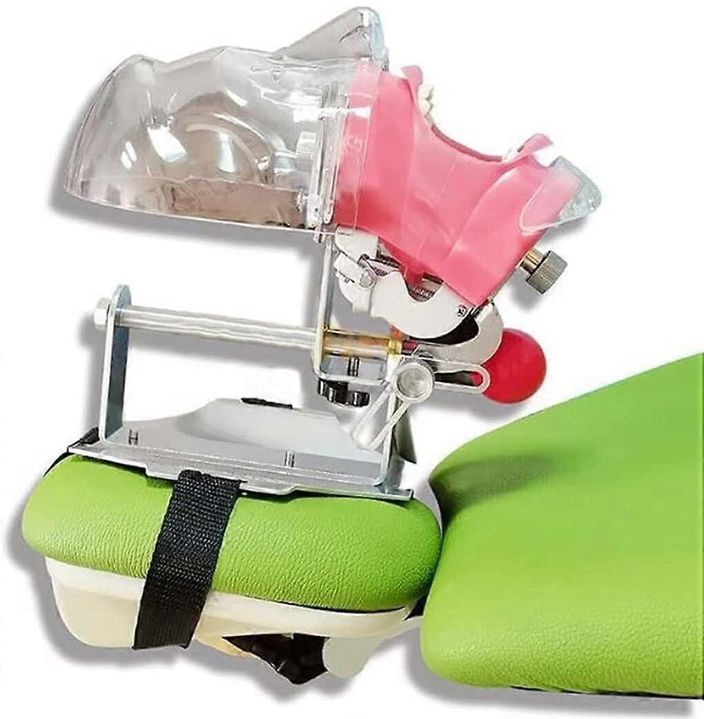 Dental Phantom Head Simulator with Realistic Clinical Simulation for Student Training Mannequin